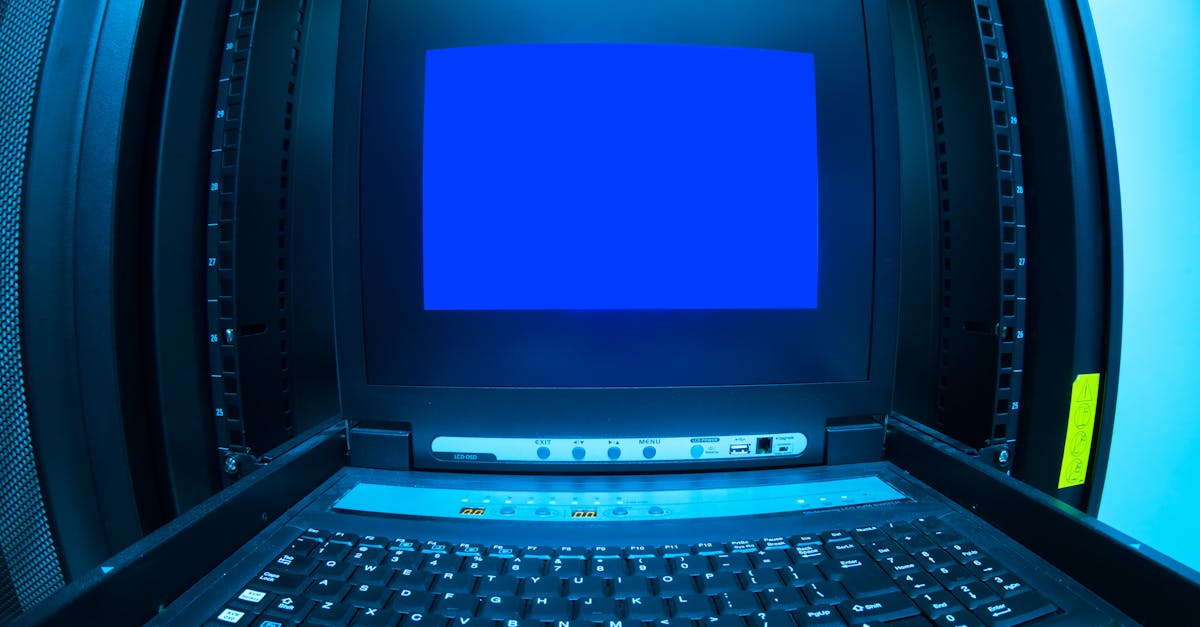 芝麻乐购买平台