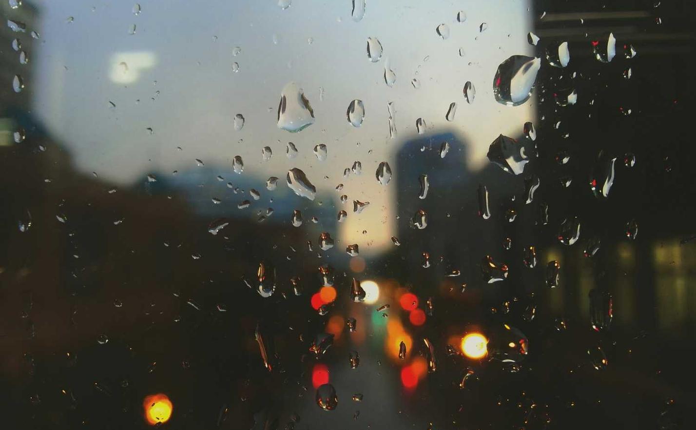 趣约会实名账号:多种平台购买保险