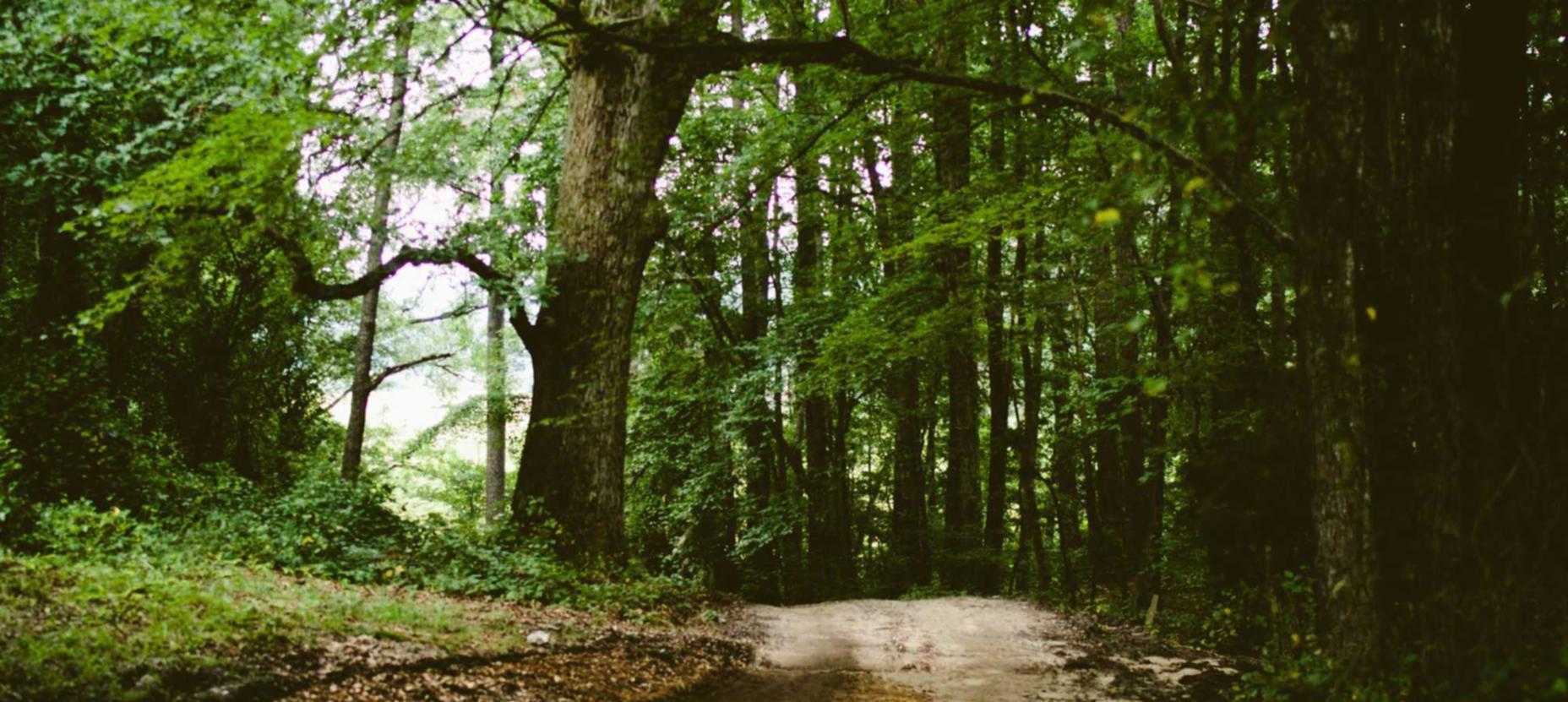 易趣实名账号:畅玩助手app详情下载教程