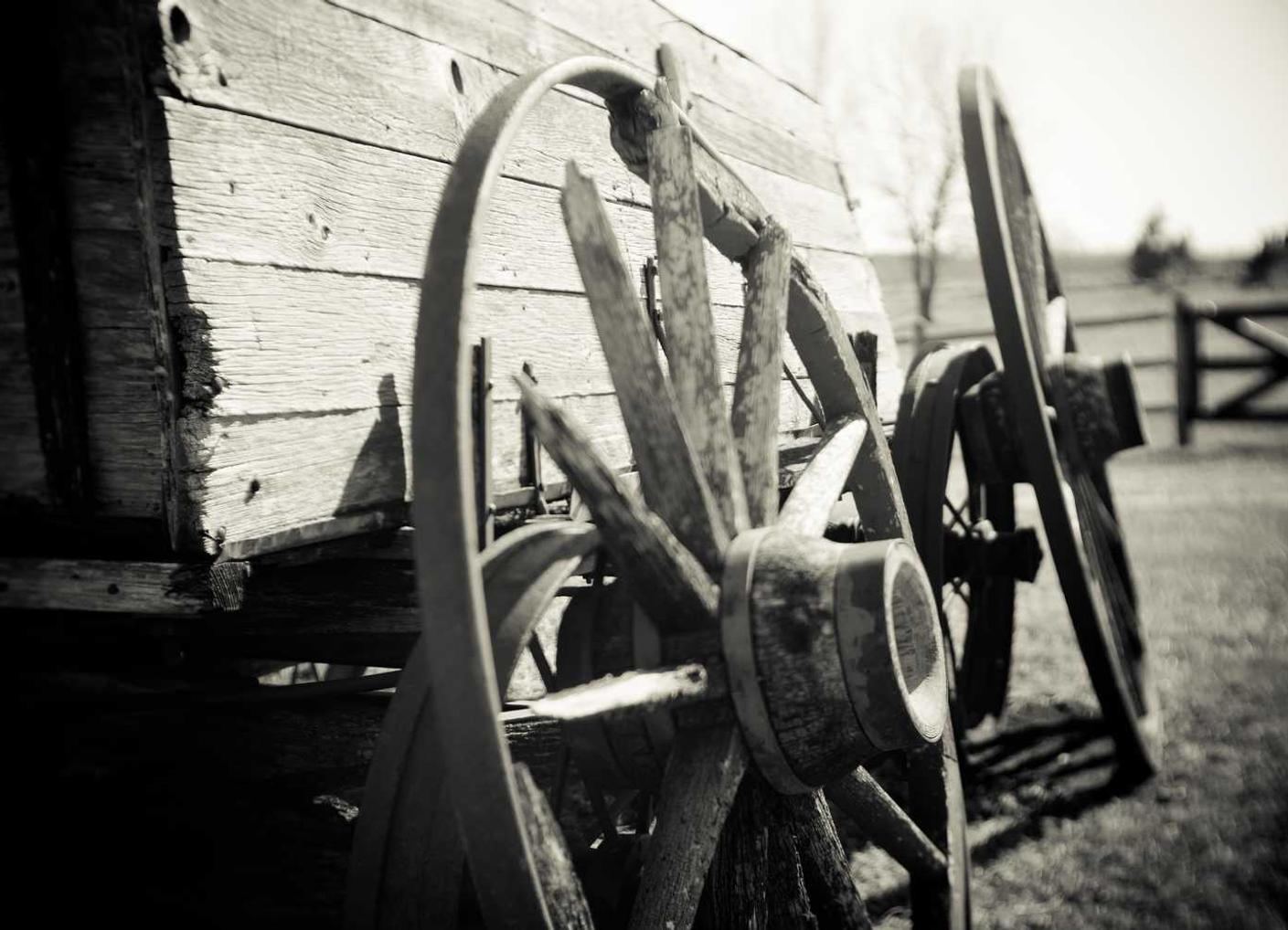 cc网页端|注册公司代理记账可信度高吗