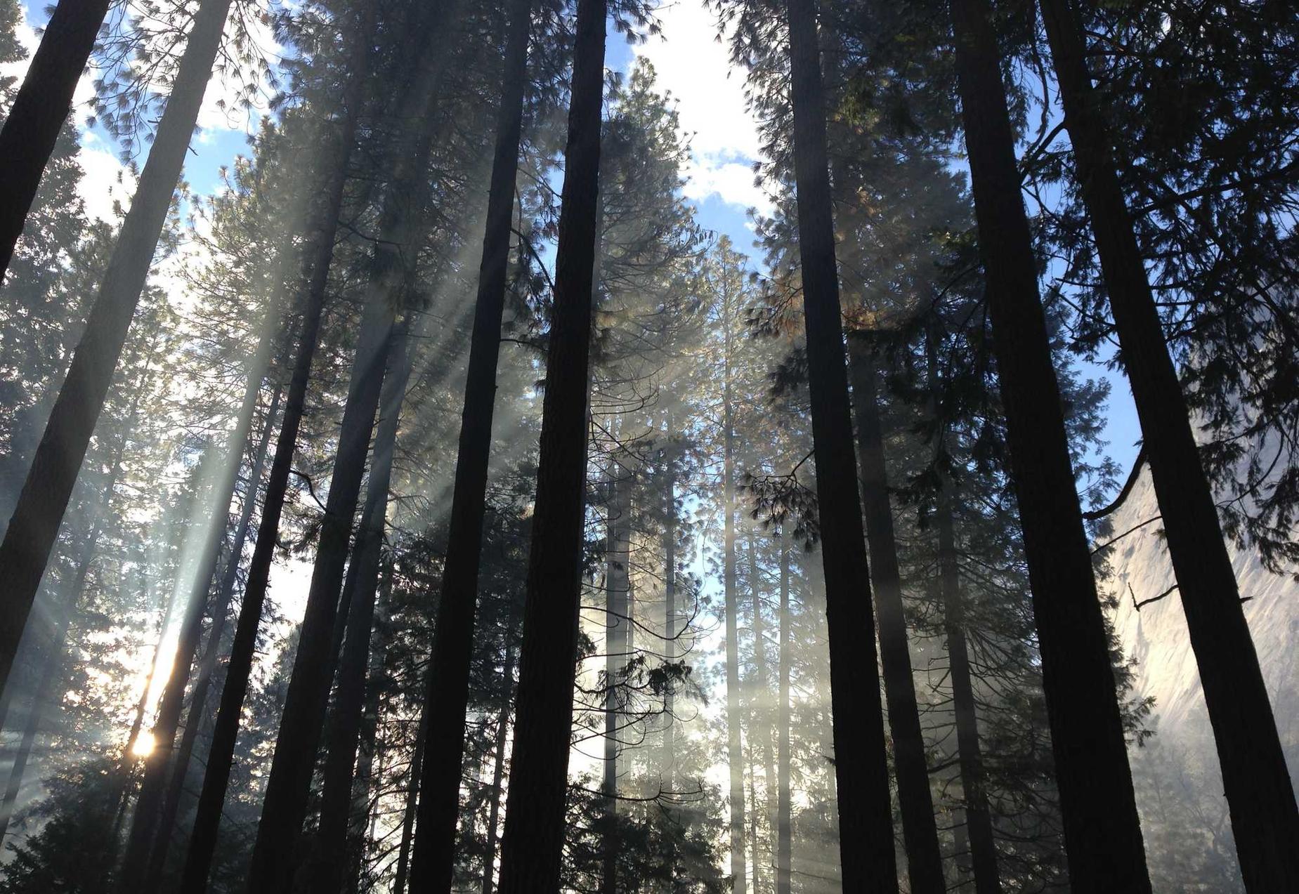 支付宝实名认证:快乐视频app详情下载教程安装