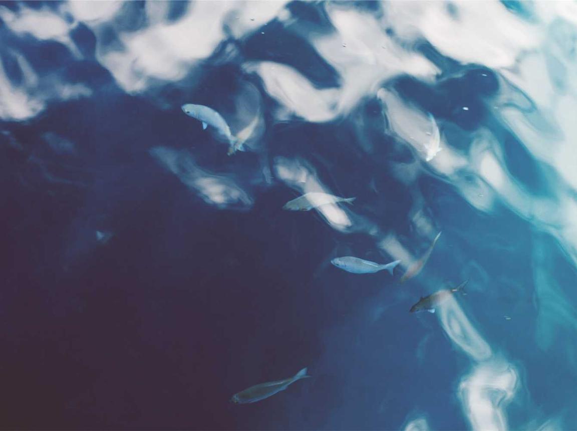 微信买卖小号：平阳注册代理会计规划