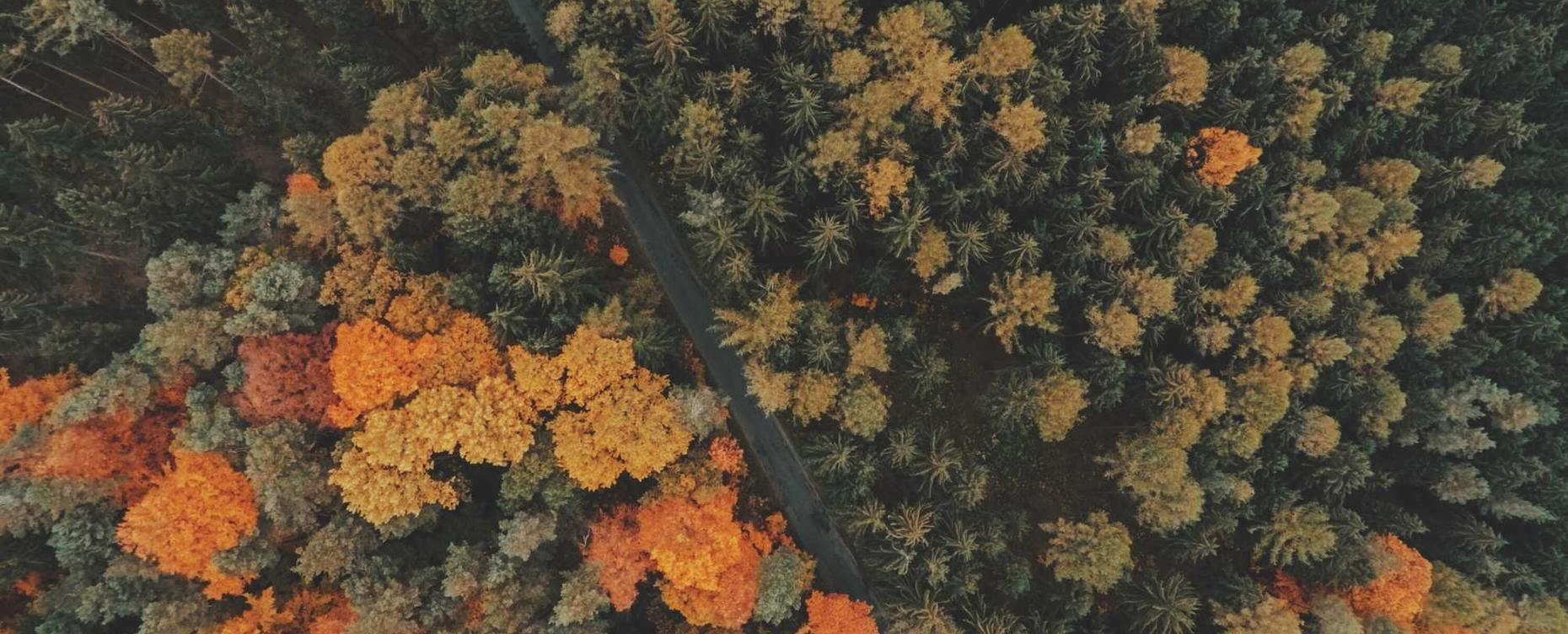 解读DDOS攻击及预防- 阿里拍卖画廊怎么注册账号