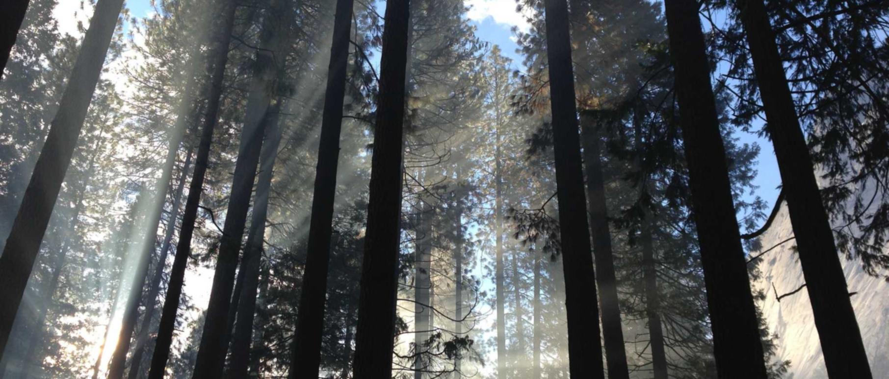 摩臣4娱乐，注册|山东代理机构商标注册中心