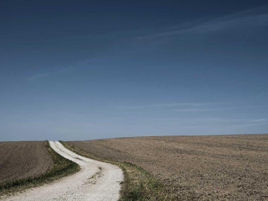 网络游戏中的技术支持和实体游戏中的作弊器