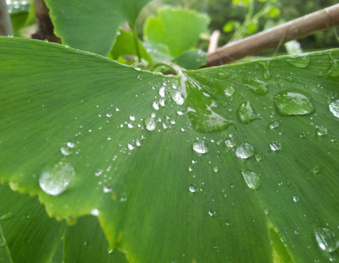 蜂巢互联实名账号：定位软件app详情下载教程