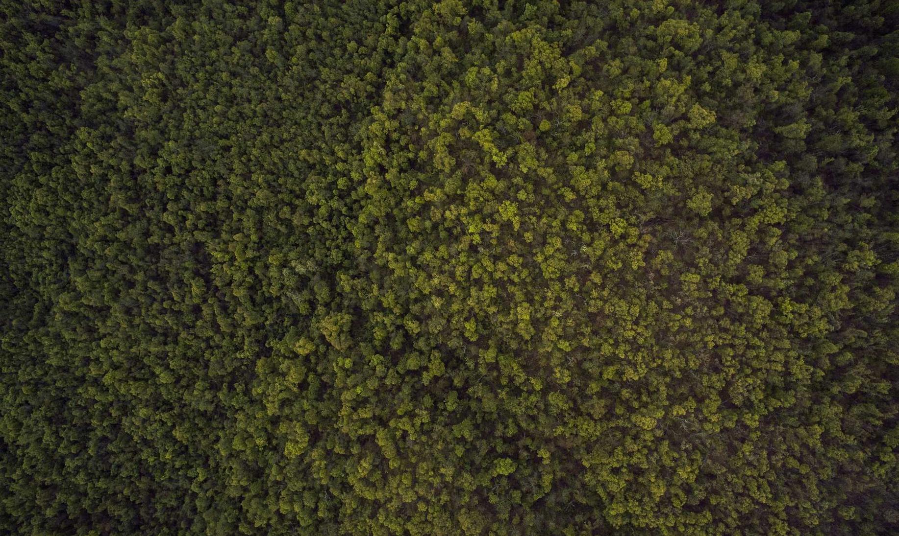 如何发现并阻止技术支持软件？