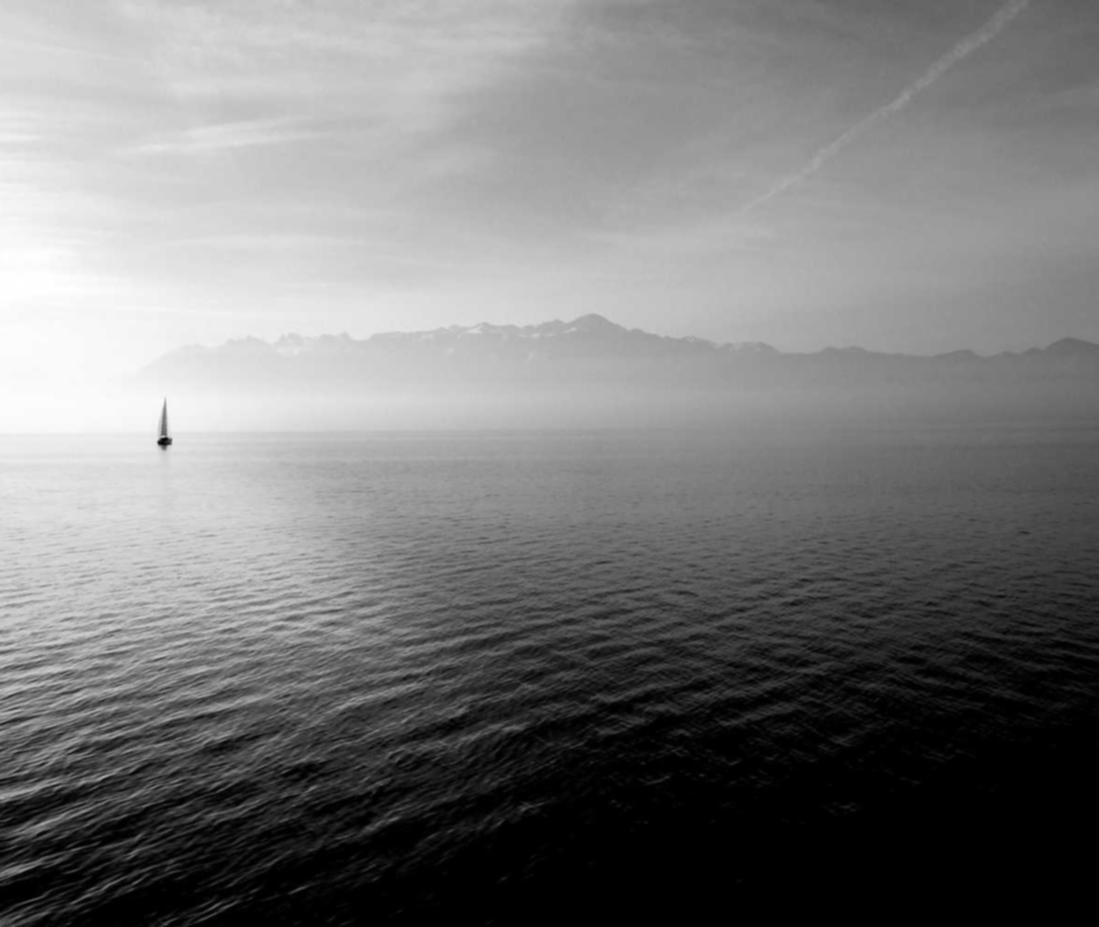 构建高效的安全防护体系，保护您的企业免受DDoS攻击