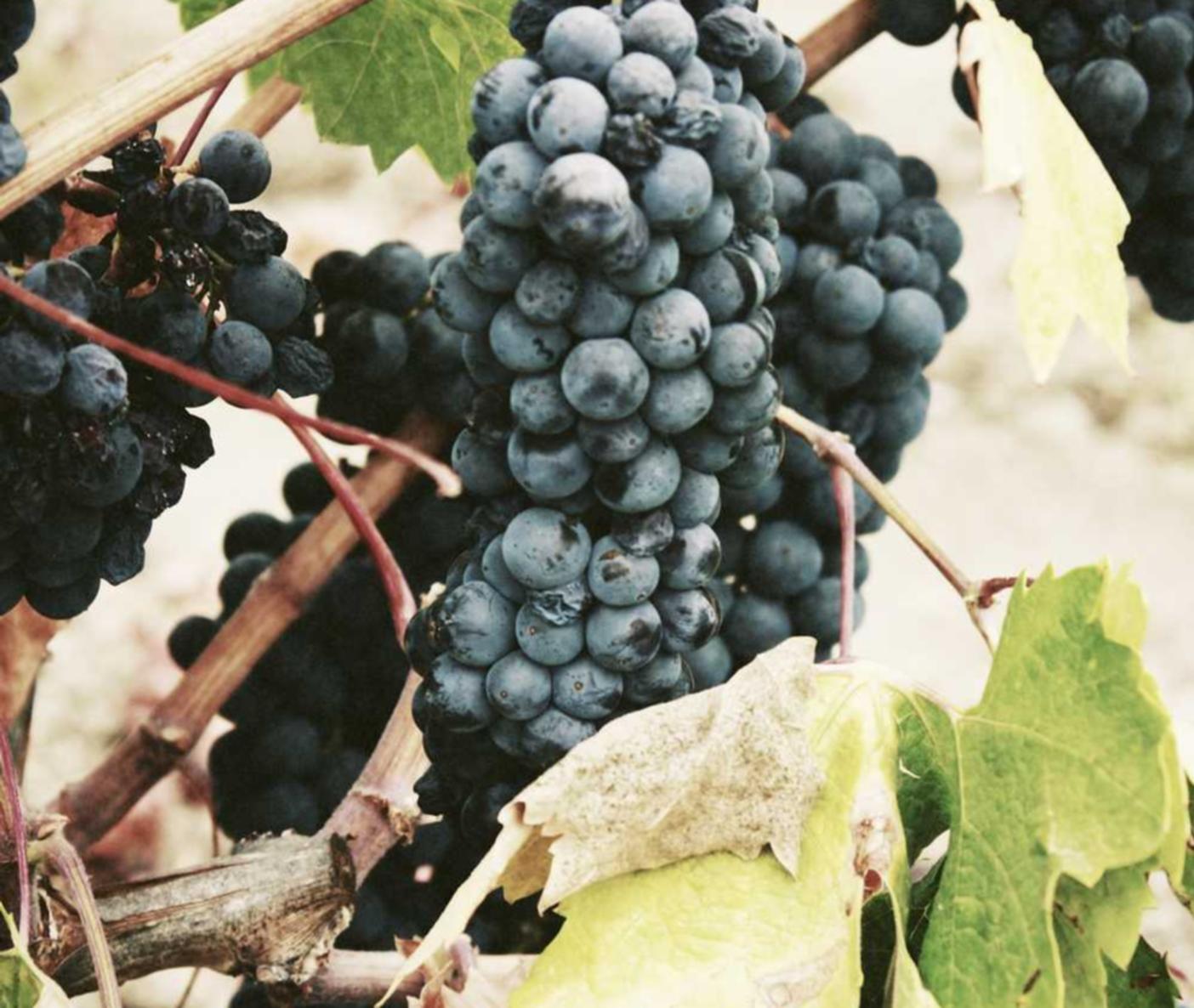 买卖微信号码:人民日报数字传媒注册账号