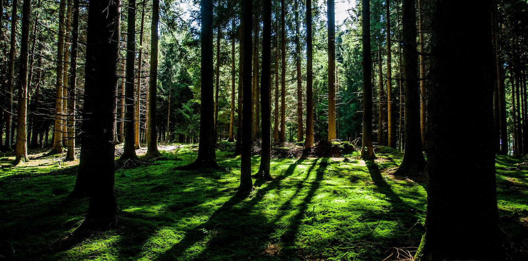 短信告知的多种发现与实现方式