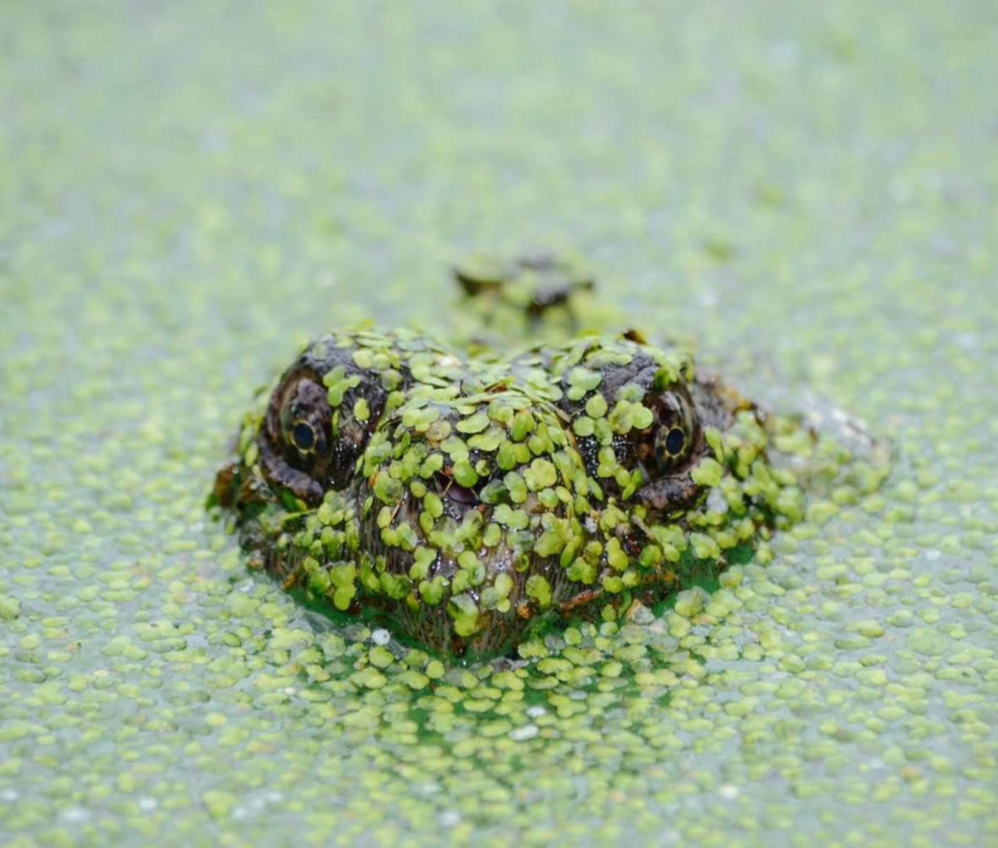 恒悦娱乐,注册|布丁app详情下载教程