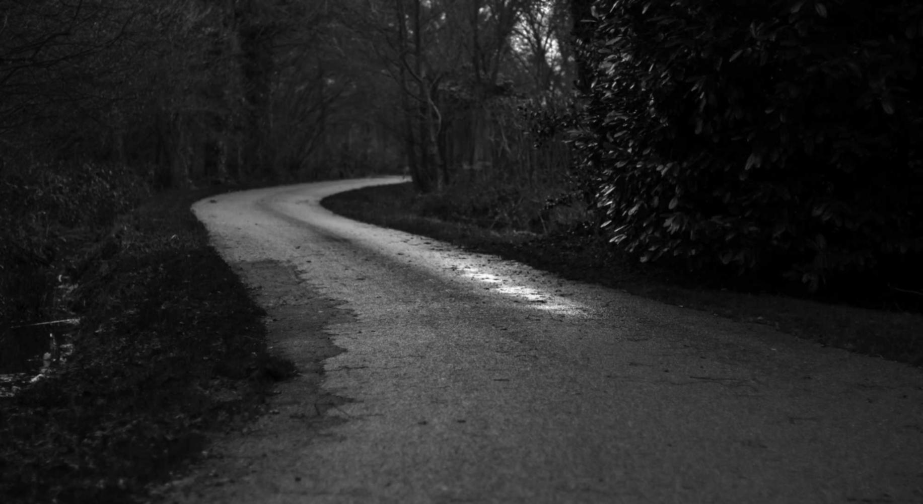 微信号出售:小红书app详情下载教程安装免费正版