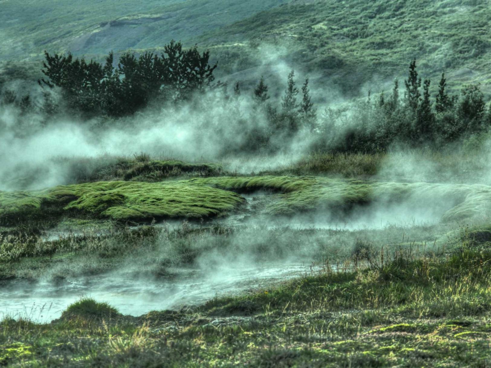 三牛娱乐,注册|永嘉办理工商代理平台