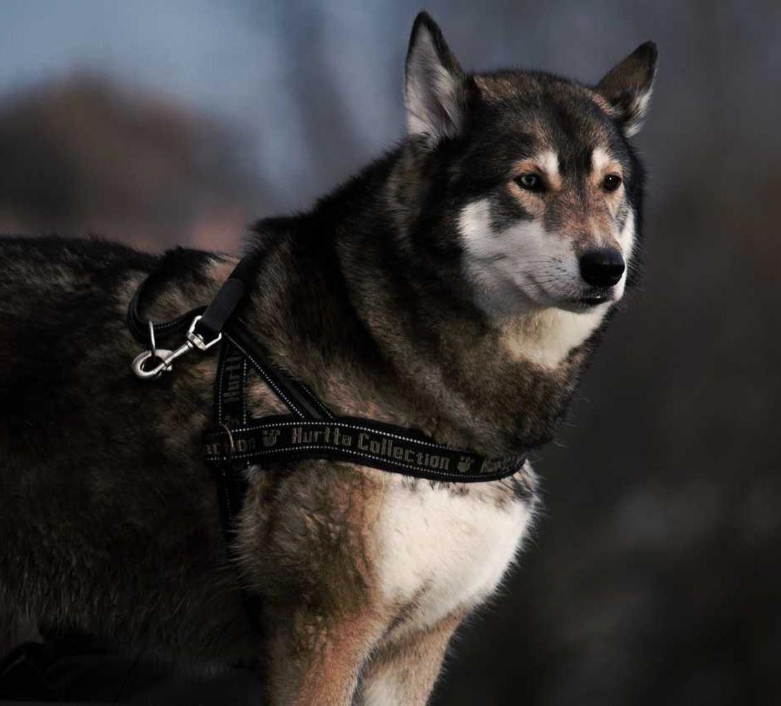 提速啦实名账号:江西注册公司代理公司