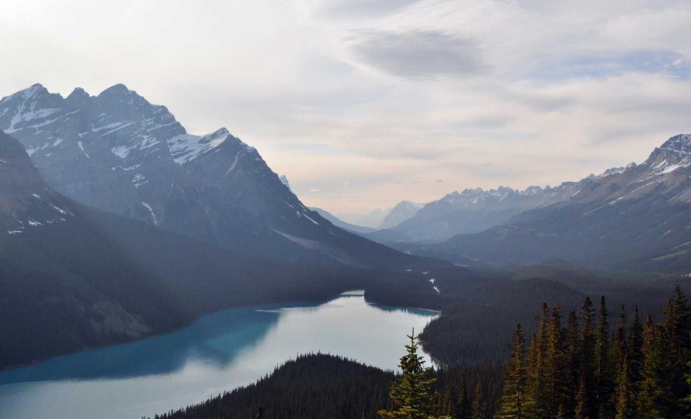 ucloud实名账号:鞋子购买正品平台哪个好