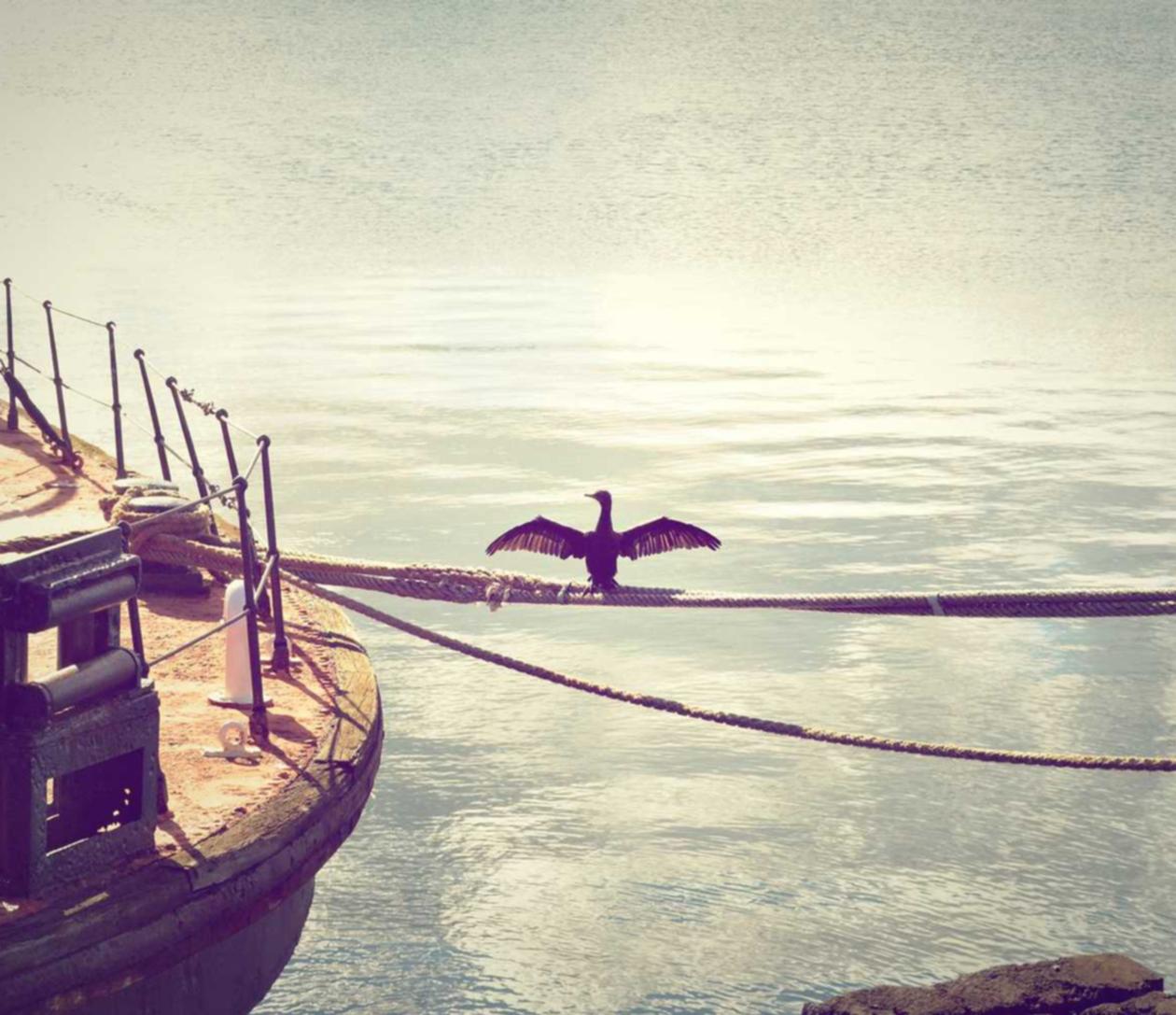 DDOS attack|如何保护你的企业免受社交工程攻击