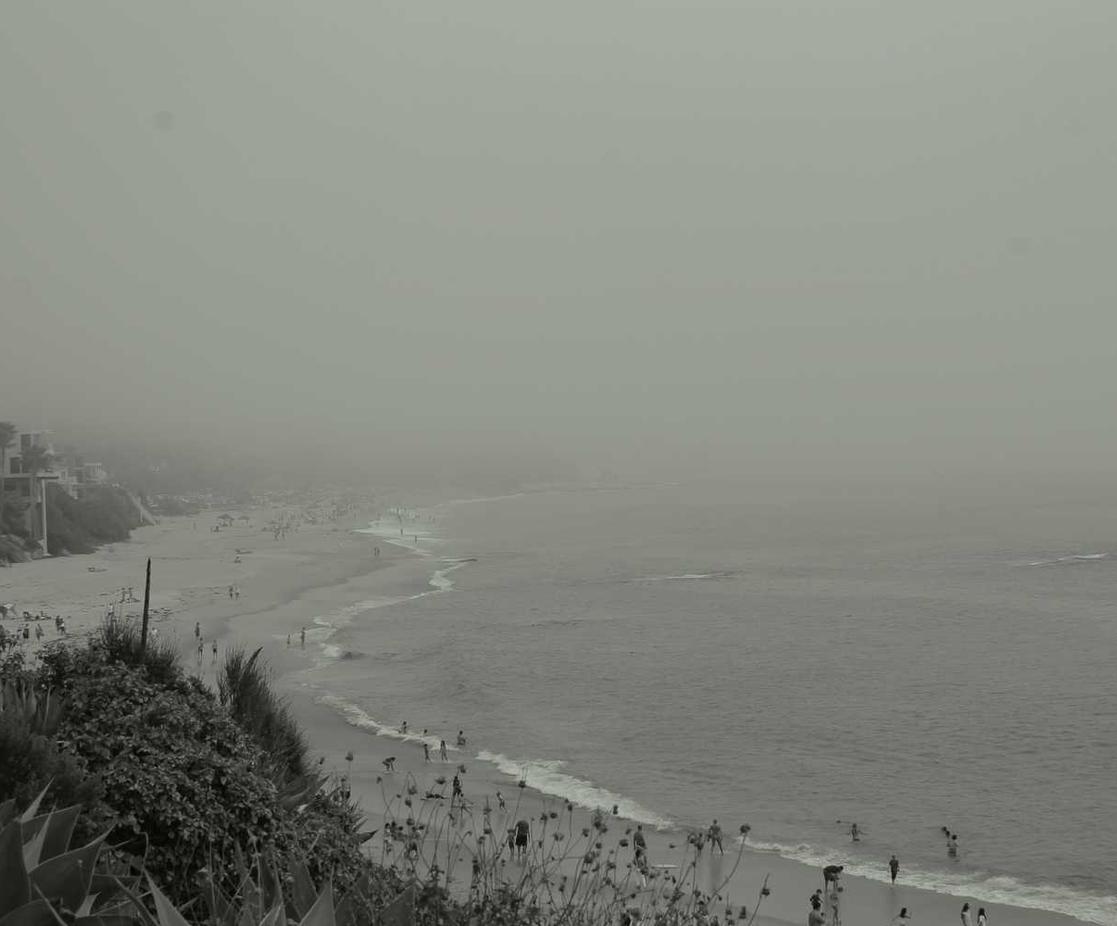 黑客攻击如何影响金融技术创新?